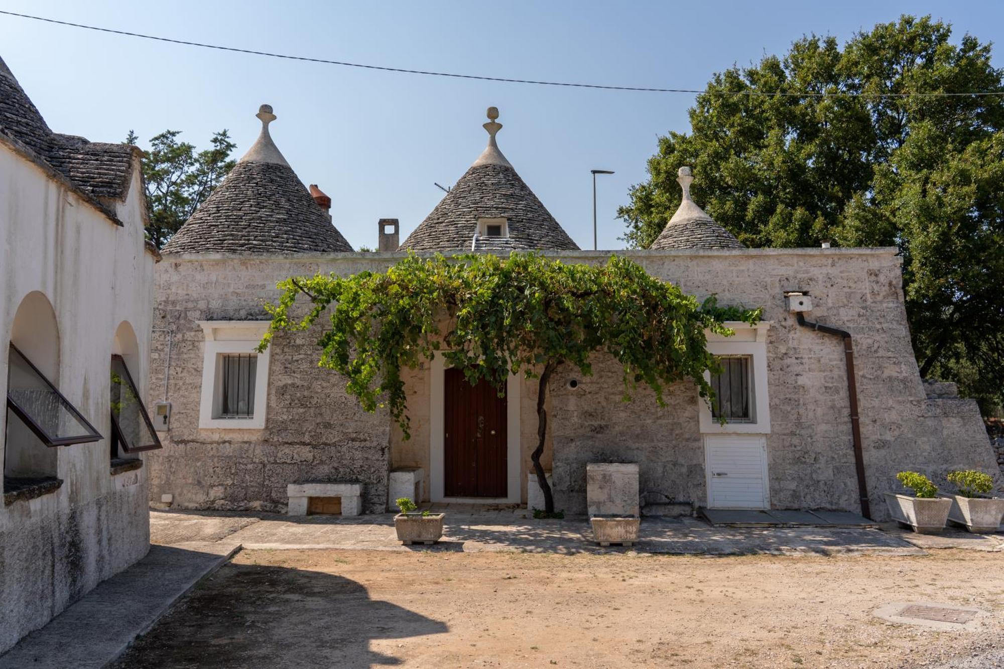 Trullo Vacanze Di Cumma Rosa Alberobello Dış mekan fotoğraf