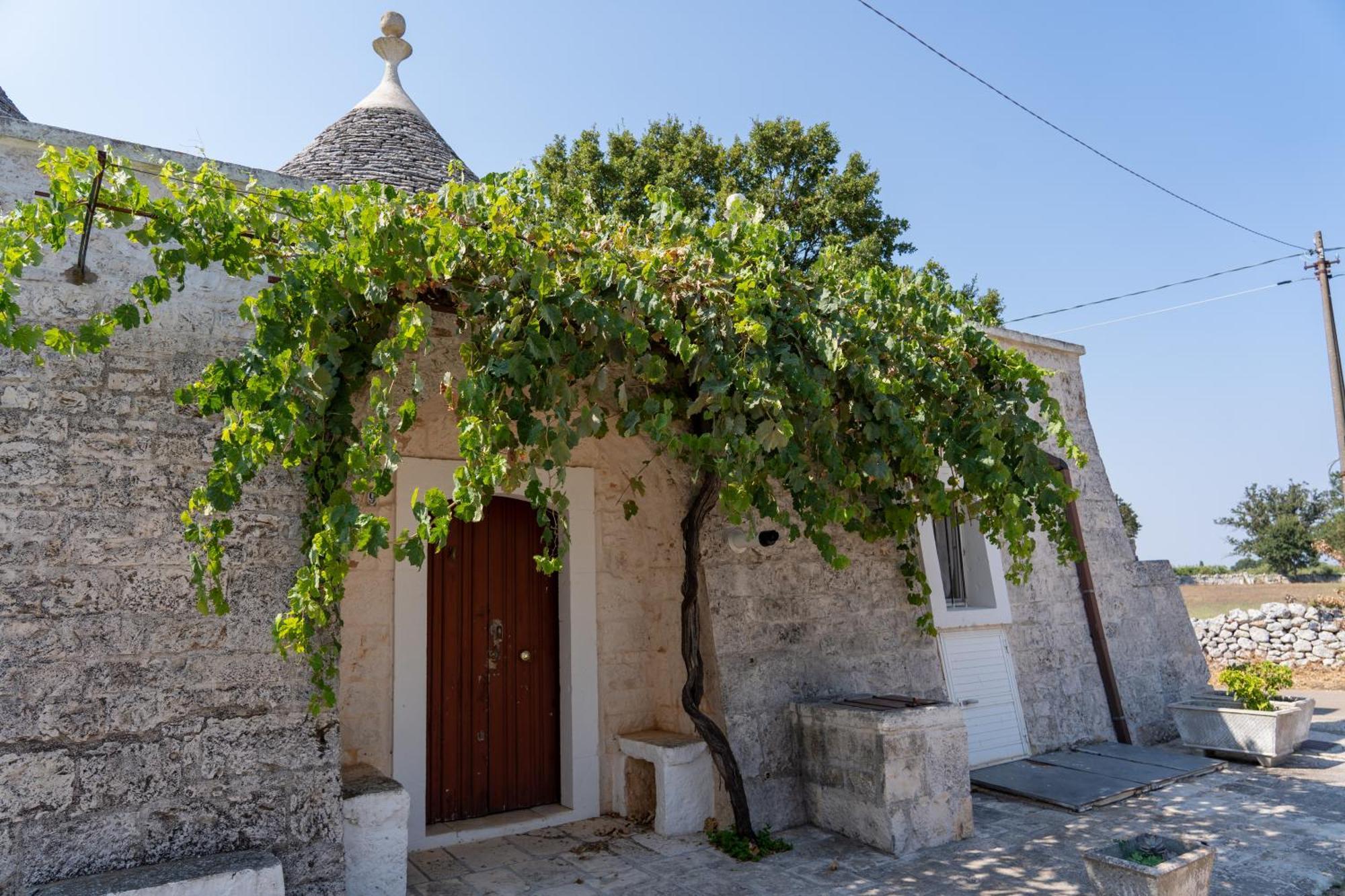 Trullo Vacanze Di Cumma Rosa Alberobello Dış mekan fotoğraf